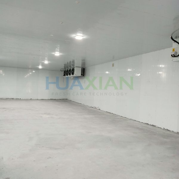 China Poultry Factory Refrigerated Copeland Cold Storage Room for Sale