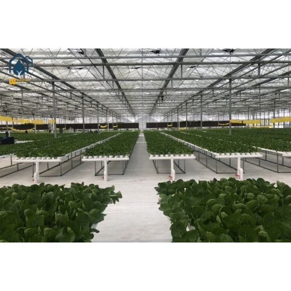 Greenhouse Hydroponic Vertical NFT Hydroponic System Soilless Vegetable Planting Troughs