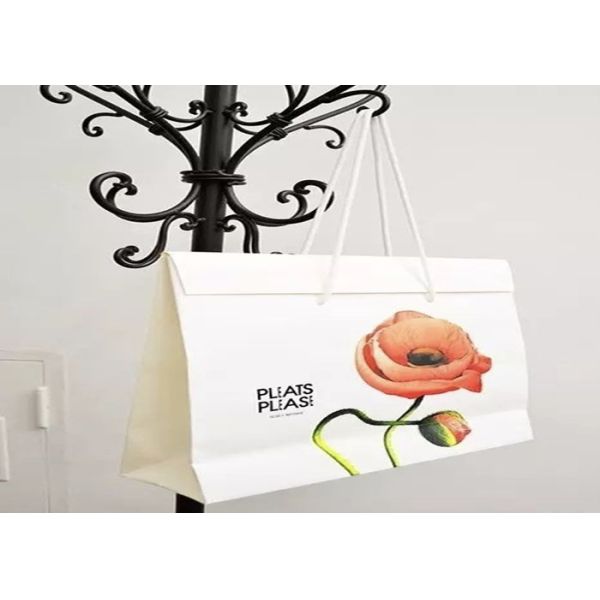 Beach/Swimming waterproof bag