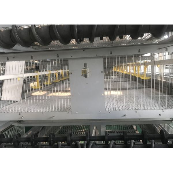 Energy Saving Automatic Poultry Watering Systems / Automatic Drinker Poultry