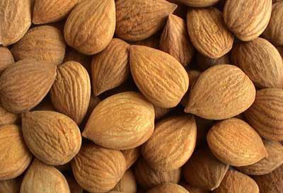 Amygdalin Extract Amygdalin 98%HPLC, CAS No.: 29883-15-6, Chinese supplier, high quality