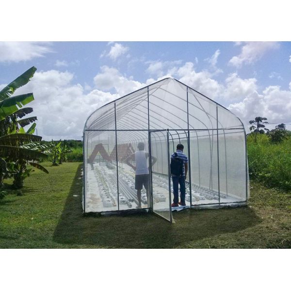 UV Protection Small Polycarbonate Greenhouse Mini Tunnel Greenhouse With Rust Proof Frame