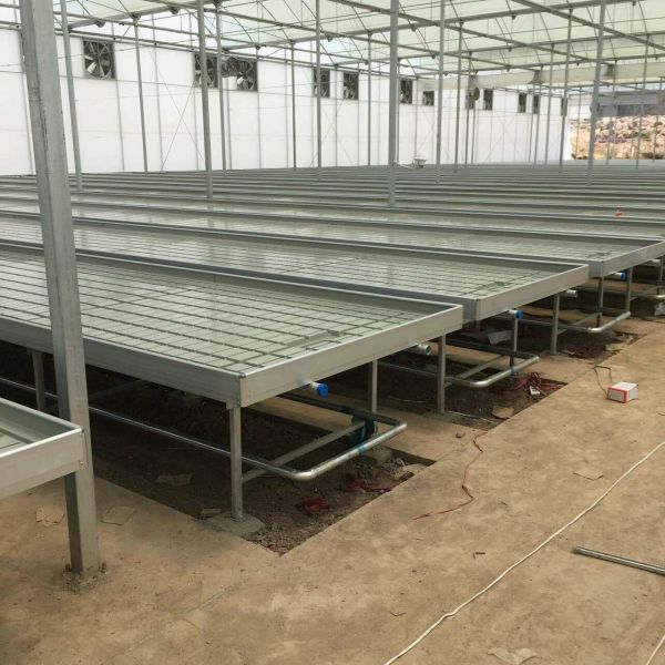 Seedbed Ebb And Flow Rolling Benches Farming Agricultural Equipment Support