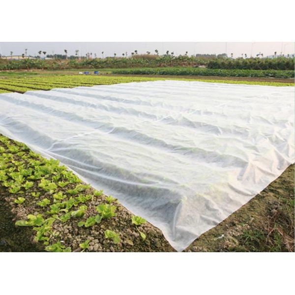 Spunbond PP Polypropylene Agricultural Crop Cover Extra Wide Nonwoven Fabric