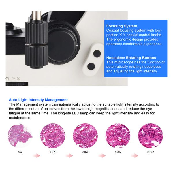 OPTO EDU A16.1093-L Trinocular LED Upright Fluorescent Light Microscope Semi Auto