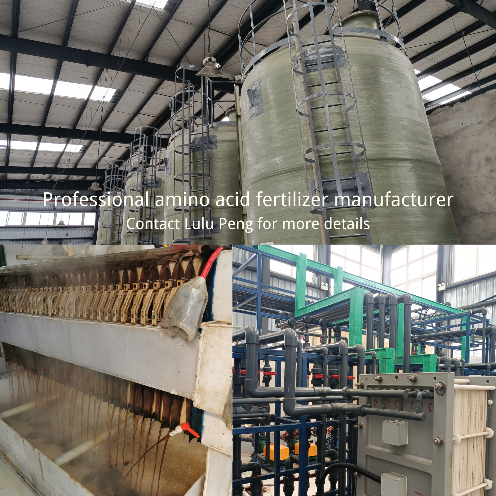 Agricultural Organic Nitrogen Liquid Fertilizer Amino Acid Chelate Zinc Liquid