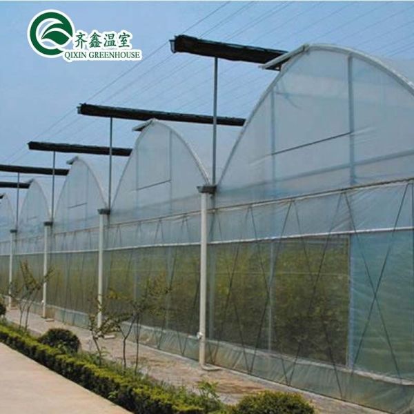 Plastic Film Covered Polytunnel Greenhouse with Hydroponic System and Ventilation
