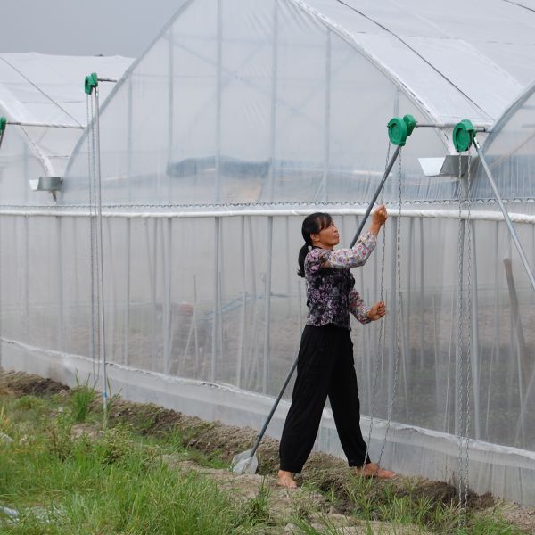 Plastic Multi Span Commercial Tunnel Greenhouse Metal Frame Plastic Greenhouse
