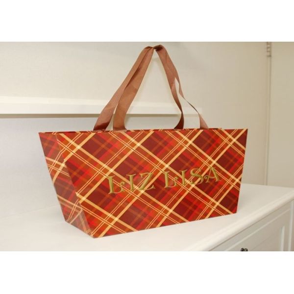 Beach/Swimming waterproof bag