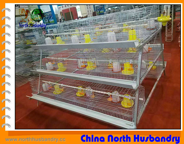 Poultry Incubator|Egg Incubators|Chicken Cages Manufacturer