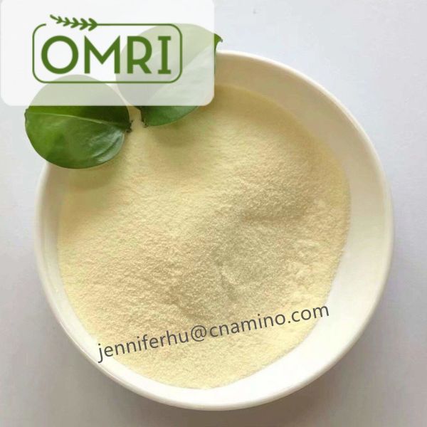 Enzymatic Amino Acid Powder 80% 16-0-0 Organic Fertilizer for Crop Nutrition
