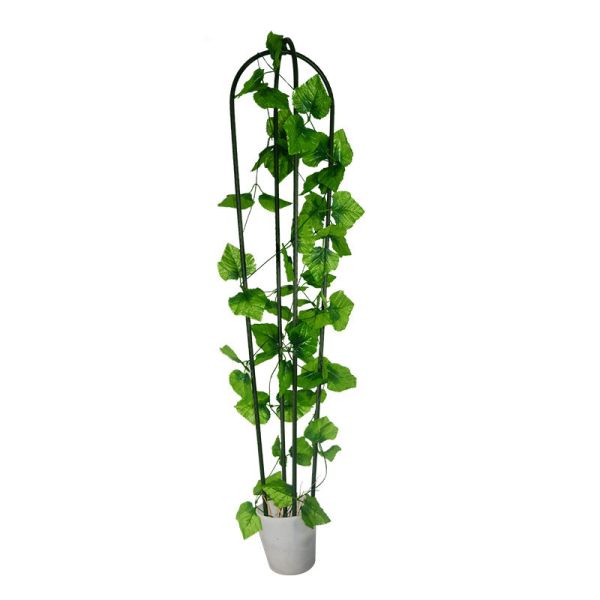 Garden Vine 14mm 210cm House Climbing Metal Plant Stakes Trellis