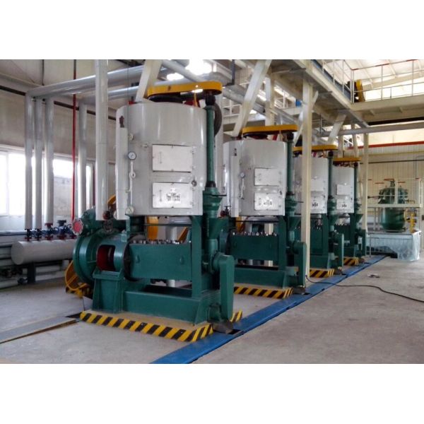 50tpd Palm Kernel Mustard Oil Expeller Plant Unit