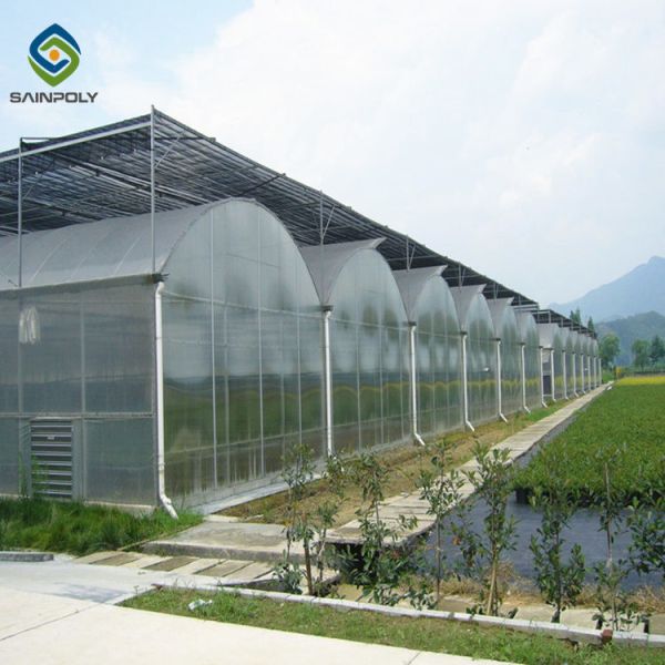 Hydroponic 9.6m Multi Span Pc Greenhouse For Agriculture