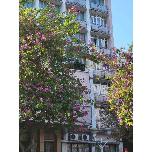 Security Aluminum Casement Windows Wind Pressure Resistance Excellent