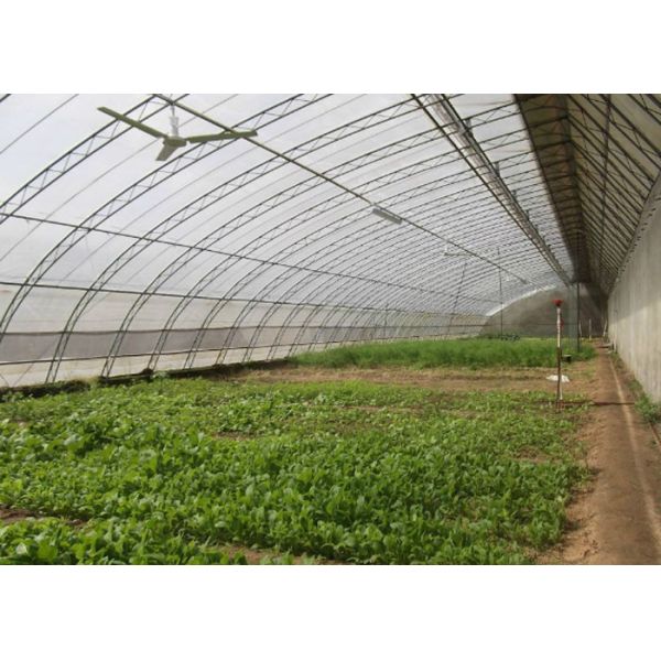 Assembled Solar Greenhouse Steel Pipe Single Tunnel For Seeding / Planting