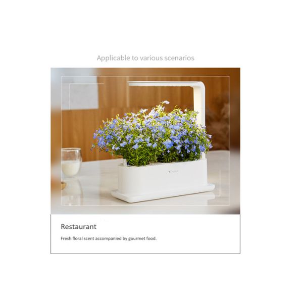 PP LED Acid Resistance Home Hydroponic Growing System