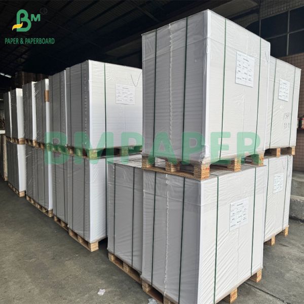 295gsm 325gsm Double Side White Paper Frozen Food Cards Board