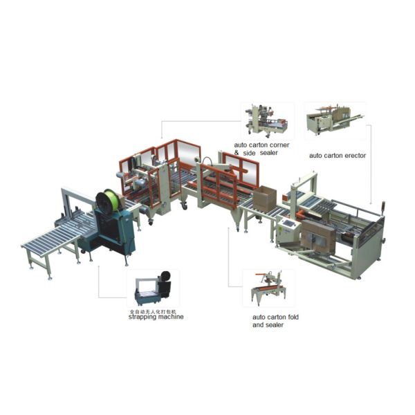 0.8Mpa Corrugated Box Strapping Machine Carton Erector And Sealer