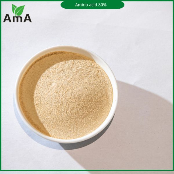 Organic Enzymatic Hydrolysis Amino Acid 80% Powder For Plants Foliar Fertilizer