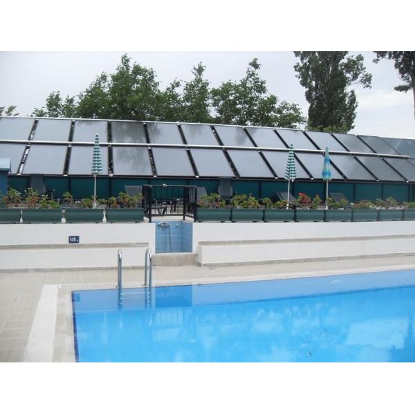 Flat plate solar collector for swimming pool heating
