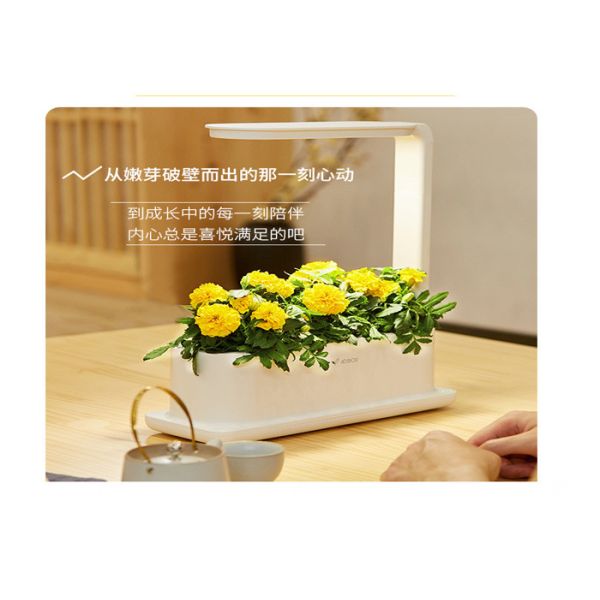 Indoor Garden LED Cabbage PP Hydroponic Grow Kit