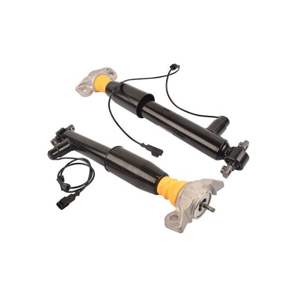 Rear Left Right Shock Absorber Struts Assy DG9Z18125A DG9Z18125C For Lincoln MKZ