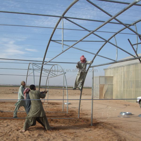 Polycarbonate Sheet Single-Span PE Greenhouse 60mm Galvanized Pipe Cooling Fan Drip Irrigation for Saudi High Temperature