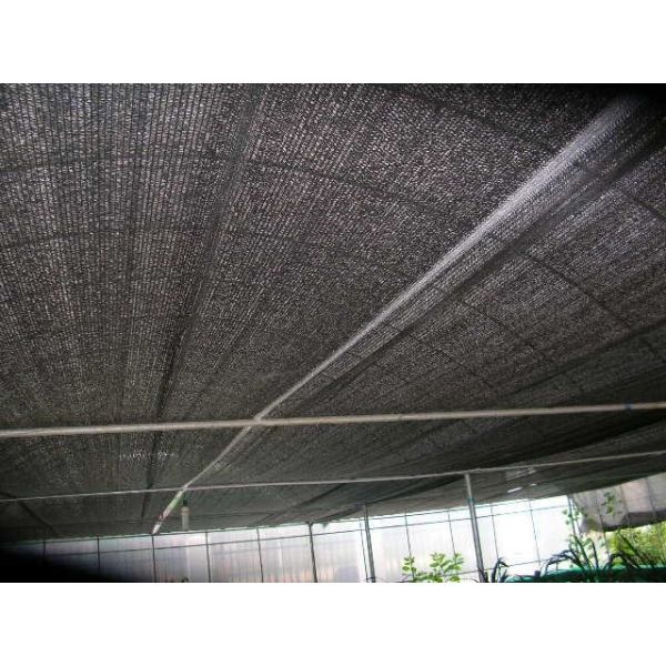 Black PE Shade Net 60gsm Green House Agriculture Shading Net Anti-Hail Net