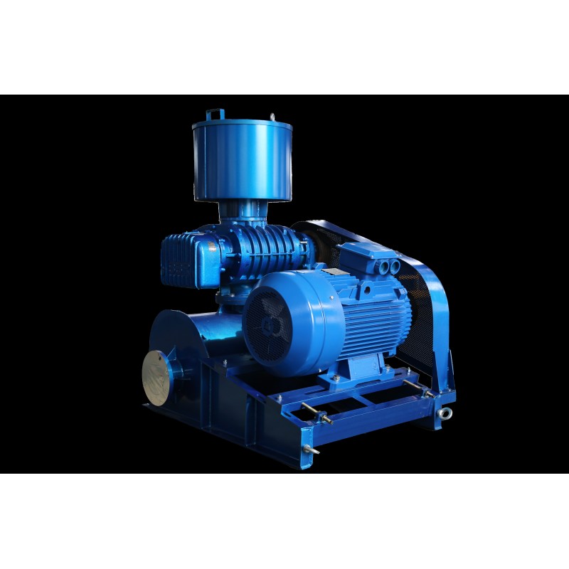 Expertly Engineered Roots Vacuum Pump Optimal Performance And Durability 4.4-69.5m³/Min