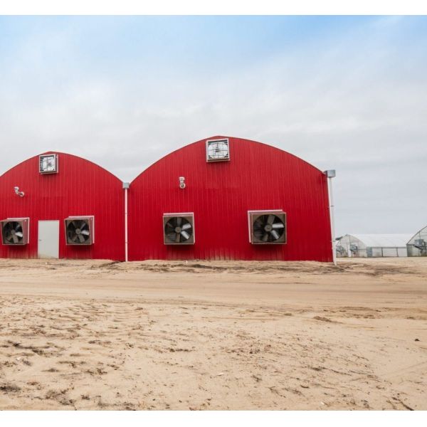 Blackout Mushroom Greenhouse for Large-Scale Mushroom Production and Cultivation