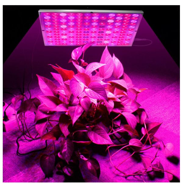 Full Spectrum 45W 85V Indoor Plant Grow Light